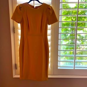 Calvin Klein women’s sheath dress.